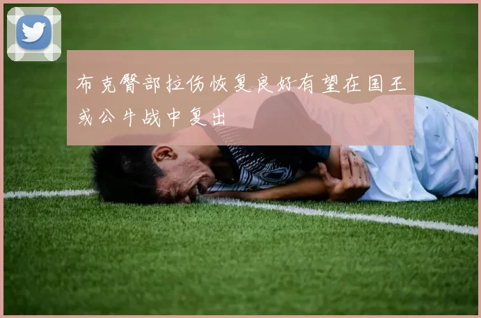 布克臀部拉伤恢复良好有望在国王或公牛战中复出